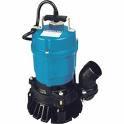 Rental store for SUBMERSIBLE PUMP 2  ELECTRIC in Grand Island NE